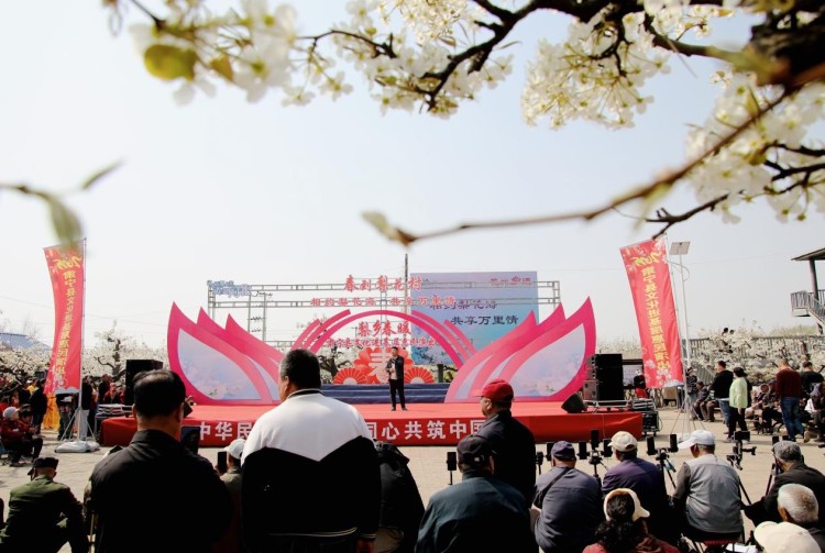 河北肃宁：万亩梨花呈盛景 八方游客沐春光_fororder_肃宁梨花节